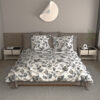 set sentoni avra 160x260 _ 10526242501